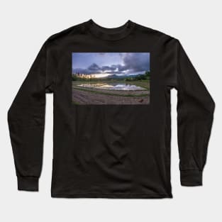 Rice field during sunset Long Sleeve T-Shirt